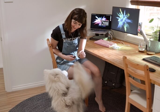 Taryn at her desk with her big fluffy dog begging for treats